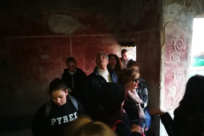 Visit Pompeii with an expert professional guide (2/3 hours) - Language, Pace, and Group Fit