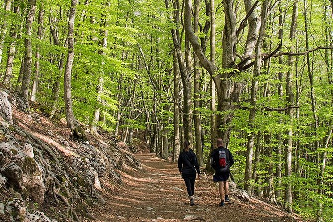 Walk around Faito Mountain, the Highest Point of the Amalfi Coast and Sorrento Peninsula - How hard is the walk?