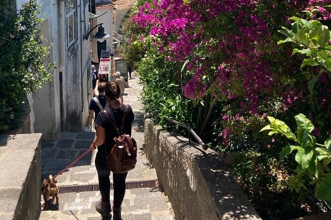 Walking tour from Minori to Maiori along the Path of the Lemons - Is $62.41 a fair price?