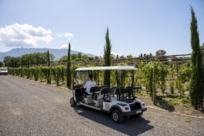 Wine Tasting Including Lunch - A long lunch with wines matched to the food
