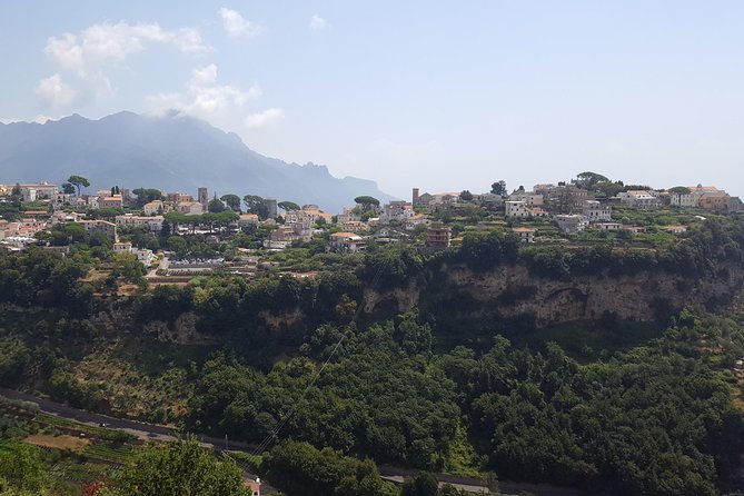 Wine Tour Experience for Family or friend's group - From Ravello’s Gardens to Vesuvius Wine Country