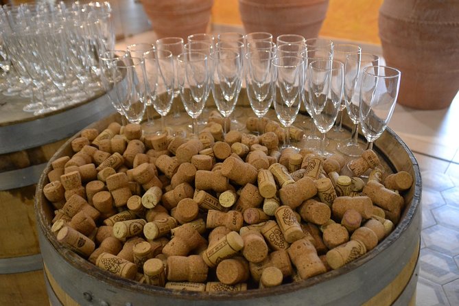 Wine Tour Experience for Family or friend's group - What Makes the Food Worth the Time