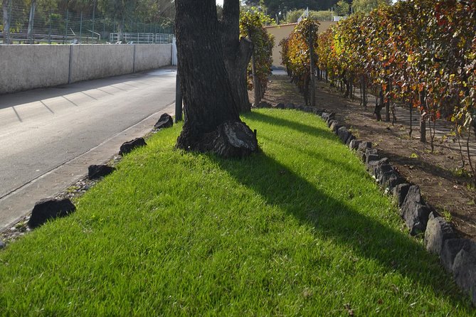 Wine Tour Experience for Family or friend's group - Who Should Book This Experience?