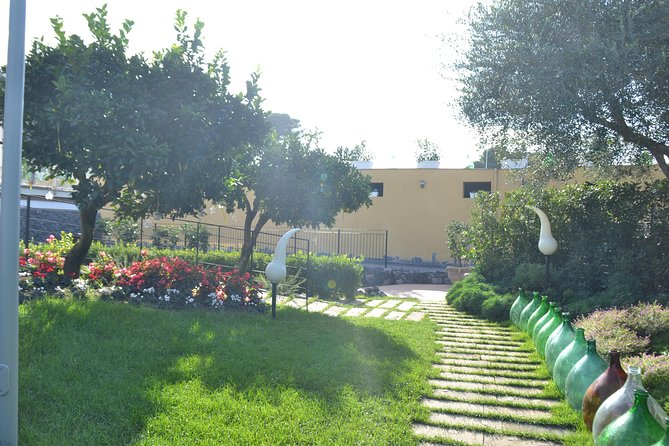 Wine Tour Experience for Family or friend's group - Ravello in About One Hour